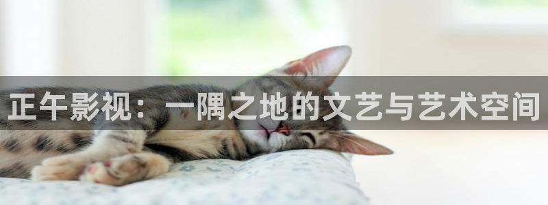 螞蟻影院黑螞蟻影院：正午影視：一隅之地的文藝與藝術(shù)空間