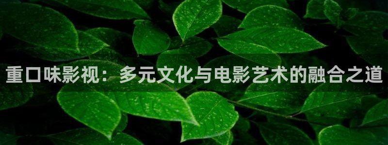 電視劇 黑螞蟻：重口味影視：多元文化與電影藝術(shù)的融合之道