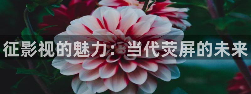 黑螞蟻影業(yè)有限公司：征影視的魅力：當代熒屏的未來